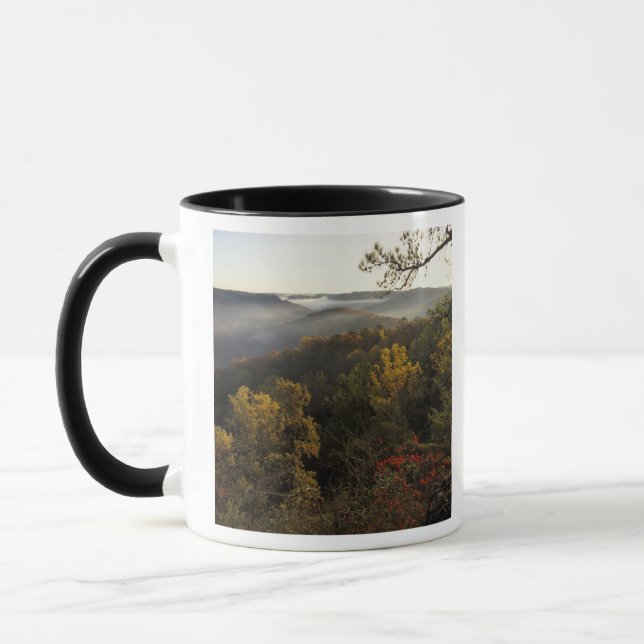 Taza EE. UU., Kentucky. Bosque Nacional Daniel Boone. (Izquierda)
