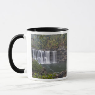 Taza EE. UU. - Kentucky. Cumberland Falls en el