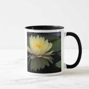 Taza EE. UU., Kentucky, lirio de agua doméstico de Loui