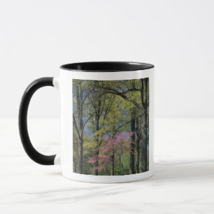 Taza EE. UU., Kentucky, Louisville. Redbud del este