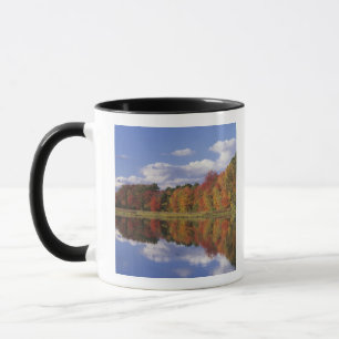 Taza EE.UU., Massachusetts, Acton. Reflejo del otoño
