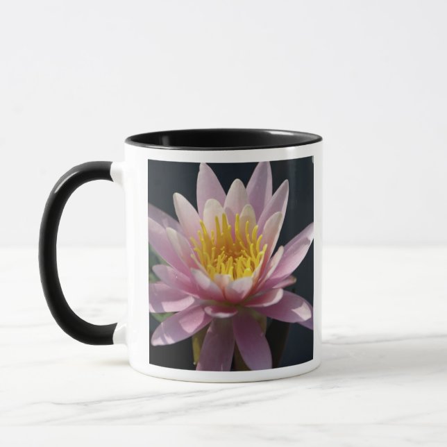 Taza EE. UU., Massachusetts, Great Barrington, hoja de  (Izquierda)