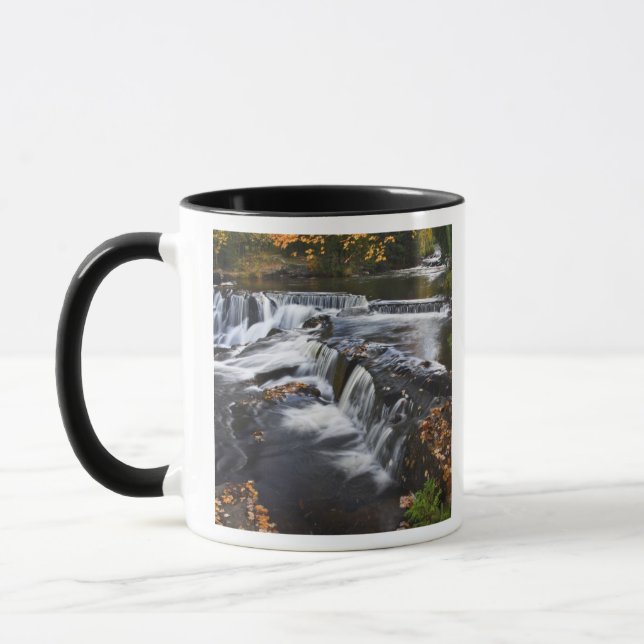Taza EE. UU., Michigan, Península Superior. Bond Falls  (Izquierda)