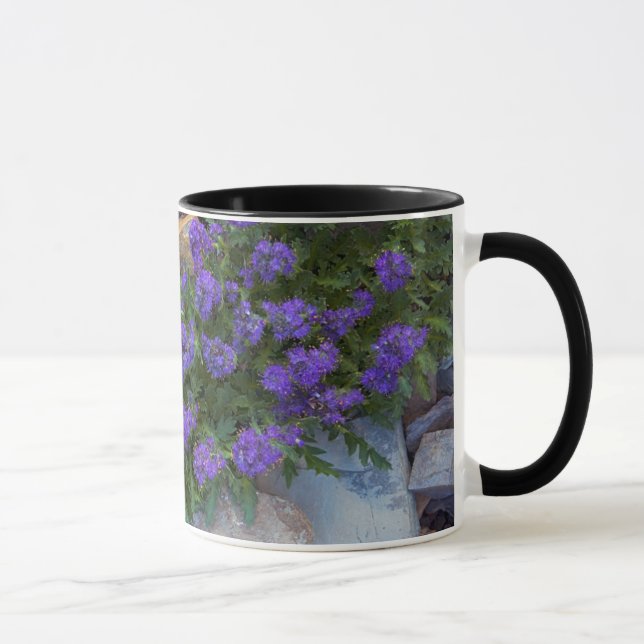 Taza EE. UU., Montana, Parque Nacional Glaciar (Derecha)