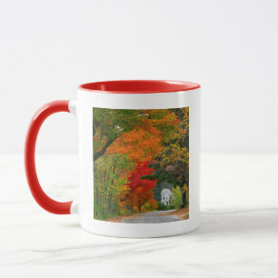 Taza EE. UU., Nueva Inglaterra, New Hampshire, Andover
