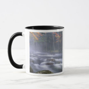 Taza EE.UU., Nueva York, Adirondacks, río Big Moose