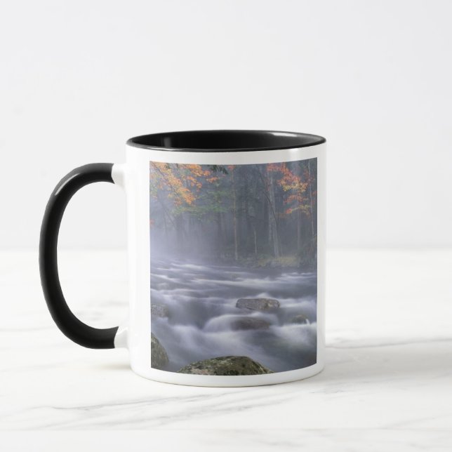 Taza EE.UU., Nueva York, Adirondacks, río Big Moose (Izquierda)