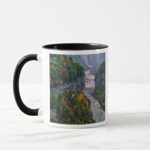 Taza EE. UU., Nueva York, Parque Estatal Letchworth. Rí