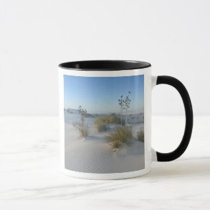 Taza EE. UU., Nuevo México, White Sands National 2