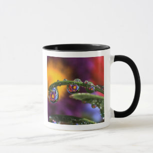 Taza EE. UU., Oregón, Acercamiento abstracto de púrpura