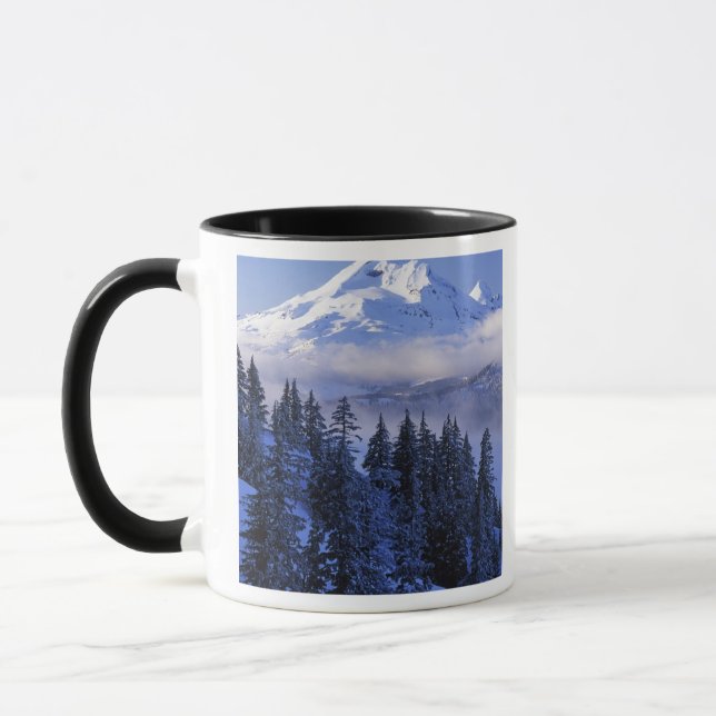 Taza EE. UU., Oregón, Bosque Nacional Deschutes, Sur (Izquierda)