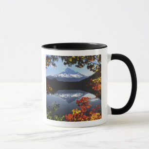 Taza EE. UU., Oregón, Bosque Nacional Mt. Hood.