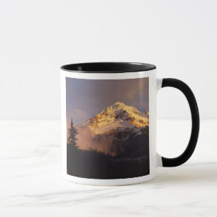 Taza EE. UU., Oregón, Bosque Nacional Mt. Hood. Rodando