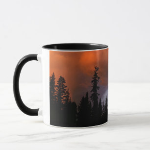 Taza EE. UU., Oregón, Bosque Nacional Umpqua. Tormenta