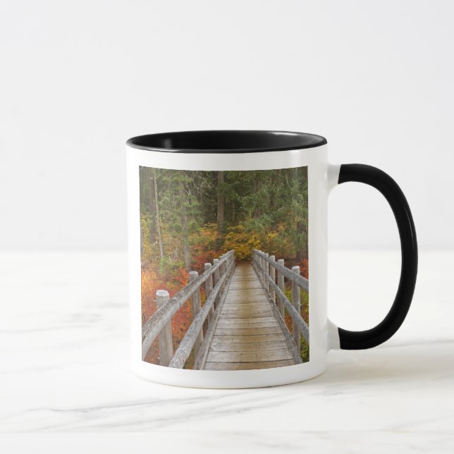 Taza EE. UU., Oregón, Bosque Nacional Willamette. (Derecha)