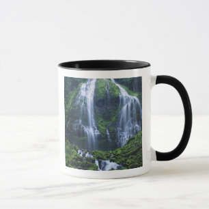 Taza EE. UU., Oregón, Bosque Nacional Willamette. Vista