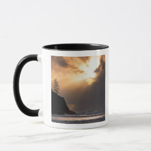 Taza EE. UU., Oregón, cerca del Parque Estatal Oswald W