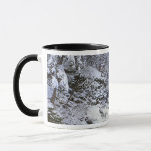 Taza EE.UU., Oregón, desfiladero del río Columbia