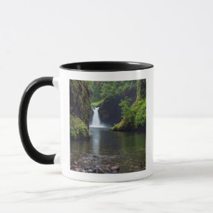 Taza EE.UU., Oregón, desfiladero del río Columbia 5