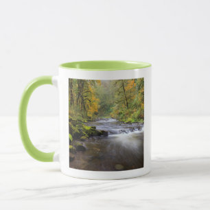 Taza EE. UU., Oregón, desfiladero del río Columbia, Tan