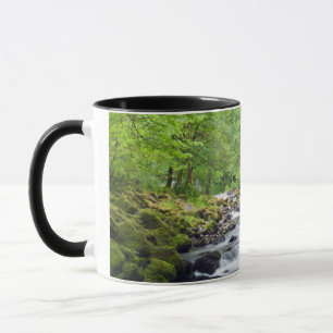 Taza EE. UU., Oregón, desfiladero del río Columbia, Tan
