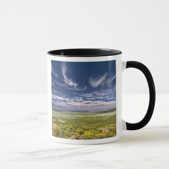 Taza EE. UU., Oregón, Monte Steens. La primavera estall (Derecha)