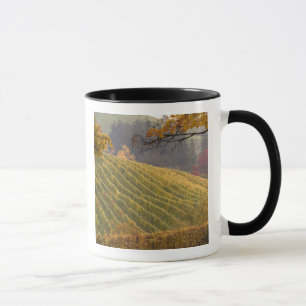 Taza EE. UU., Oregón, Newberg. Viñedo en otoño.
