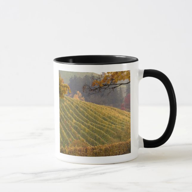Taza EE. UU., Oregón, Newberg. Viñedo en otoño. (Derecha)