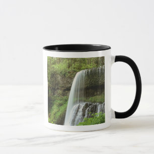 Taza EE. UU., Oregón, Parque Estatal Silver Falls. Infe