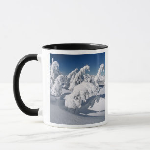 Taza EE. UU., Oregón, Parque Nacional Crater Lake. Los