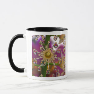 Taza EE. UU., Oregón, Portland. Flores de cosmos se ref