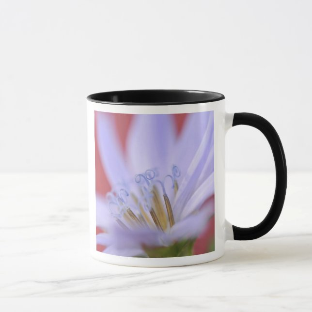 Taza EE. UU., Oregón, Portland. Primer plano de achicor (Derecha)