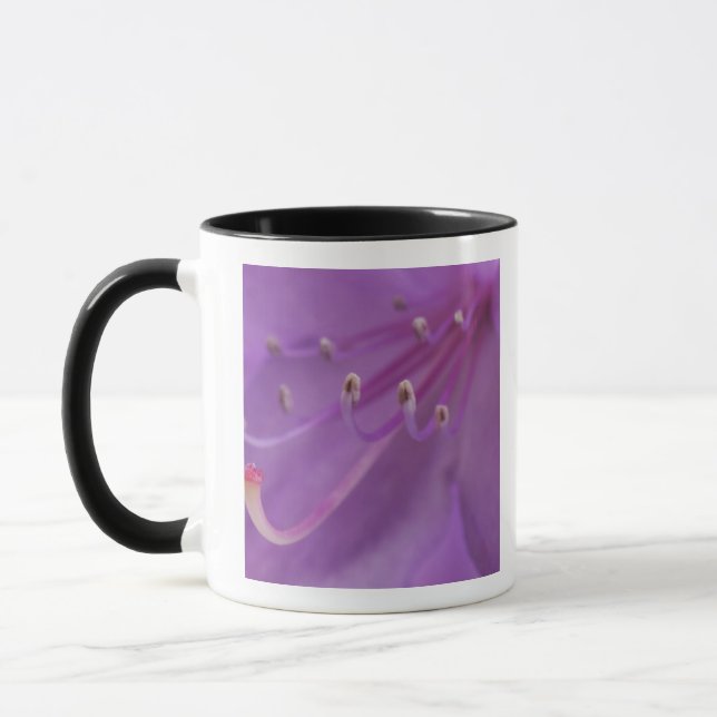 Taza EE. UU., Oregón, Portland. Primer plano de una (Izquierda)