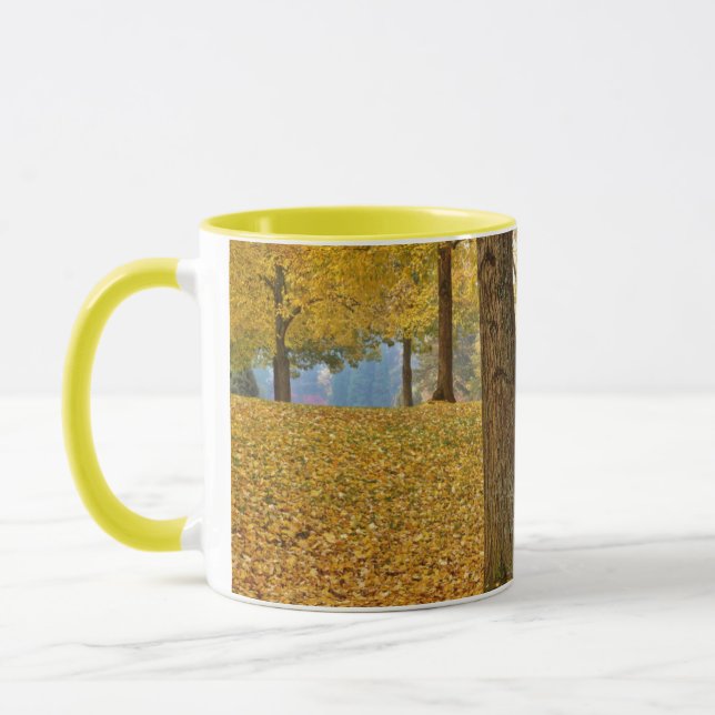 Taza EE. UU., Oregón, Portland. Tilos americanos (Izquierda)
