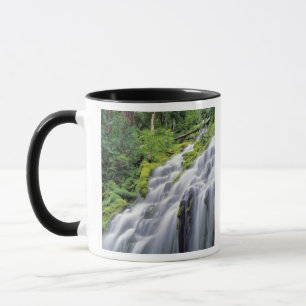 Taza EE. UU., Oregón, Proxy Falls. Proxy Falls se preci