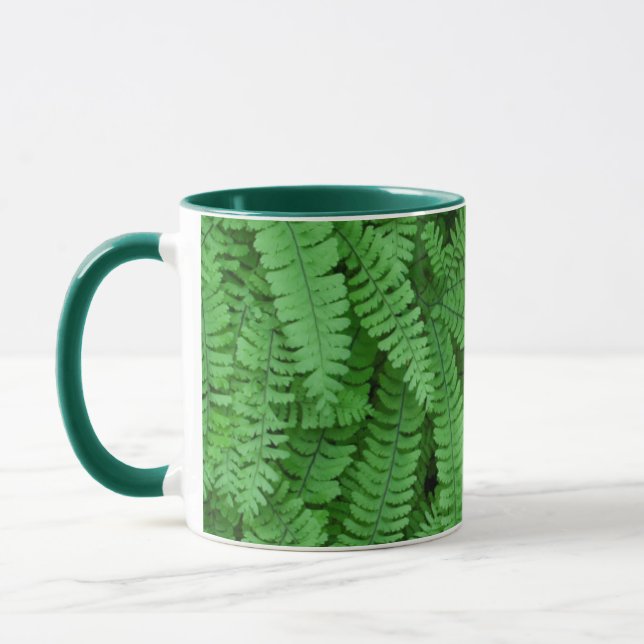 Taza EE. UU., Oregón, Silverton. Helechos culantrillo (Izquierda)
