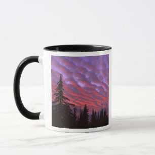 Taza EE. UU., Oregón, Three Sisters Wilderness, Intenso