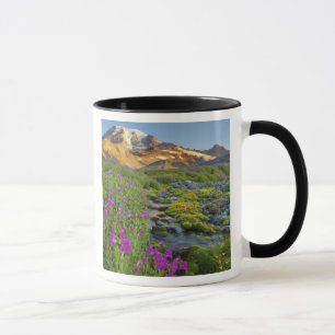 Taza EE. UU., Parque Nacional Mt. Rainier, Washington.