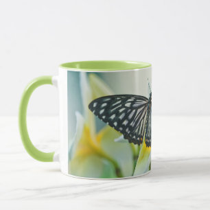 Taza EE. UU., Pensilvania. Mariposa cola de golondrina