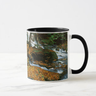 Taza EE. UU., Pensilvania, Parque Estatal Ricketts Glen