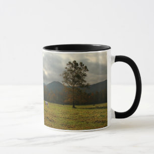 Taza EE. UU., Tennessee. Caballos en el valle de Cades