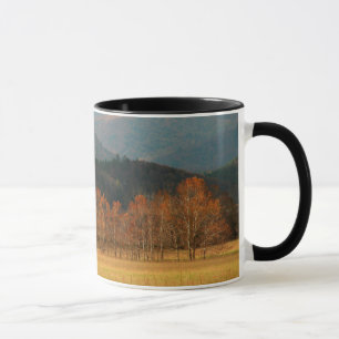 Taza EE. UU., Tennessee. Cades Cove en Smoky Mountain