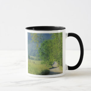 Taza EE. UU., Tennessee, Great Smoky Mountains NP,