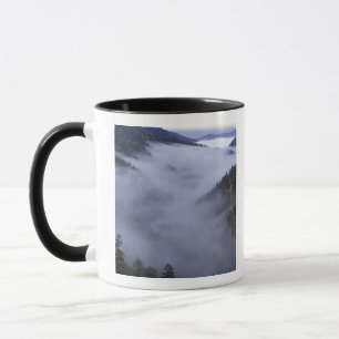 Taza EE. UU., Tennessee. Parque Nacional Grandes Montañ