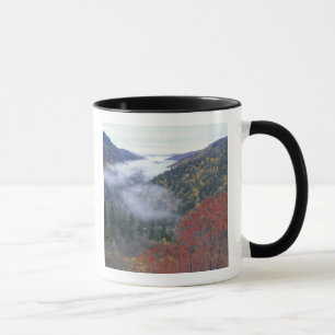 Taza EE. UU., Tennessee, Parque Nacional Grandes Montañ