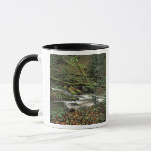 Taza EE. UU., Tennessee. Río Nacional Big South Fork