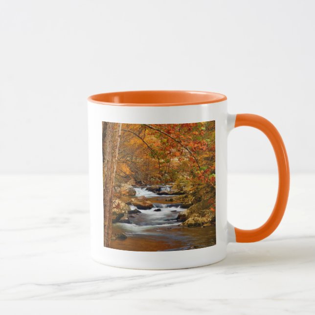 Taza EE. UU., Tennessee. Rushing Mountain Creek (Derecha)
