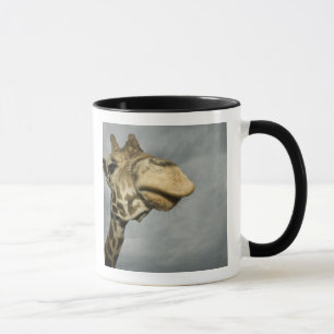 Taza EE. UU., Texas, Área silvestre Fossil Rim, jirafa