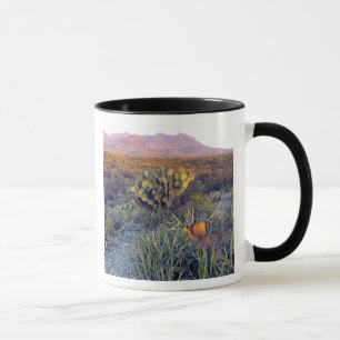 Taza EE. UU., Texas, Big Bend NP. Un anochecer arenoso 