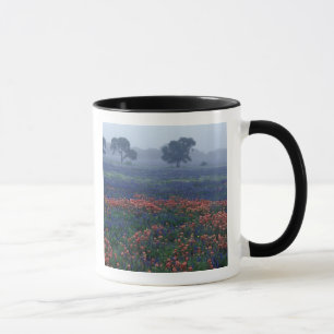Taza EE. UU., Texas, cerca de Lytle Fog, robles, blue b